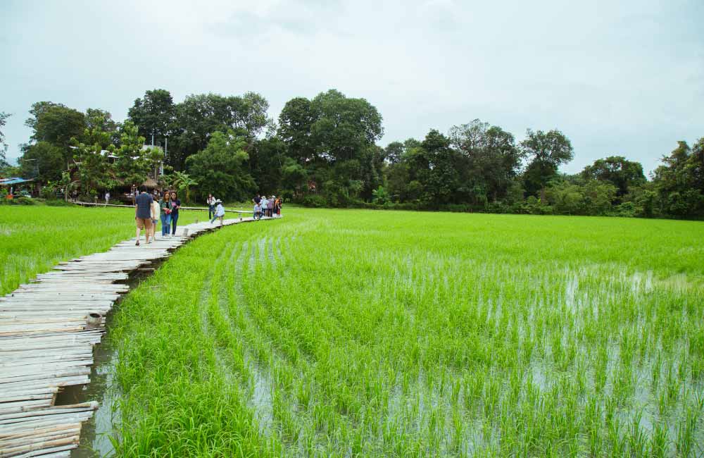 ขับรถเที่ยวหน้าฝน สะพานทุ่งนามุ้ย นครนายก